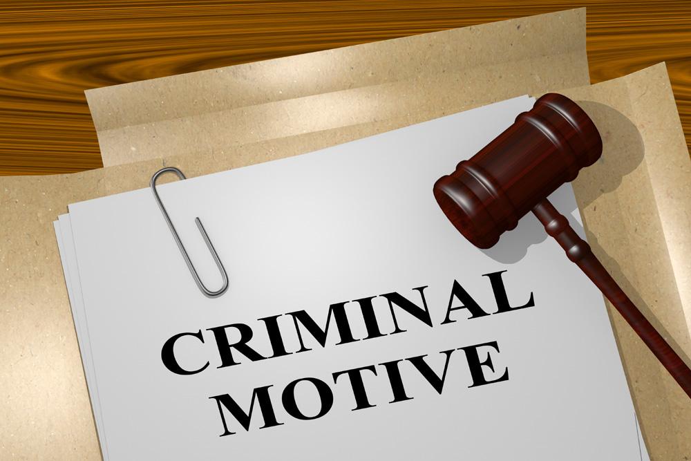 What Really Drives People to Commit Crimes? Exploring Motives