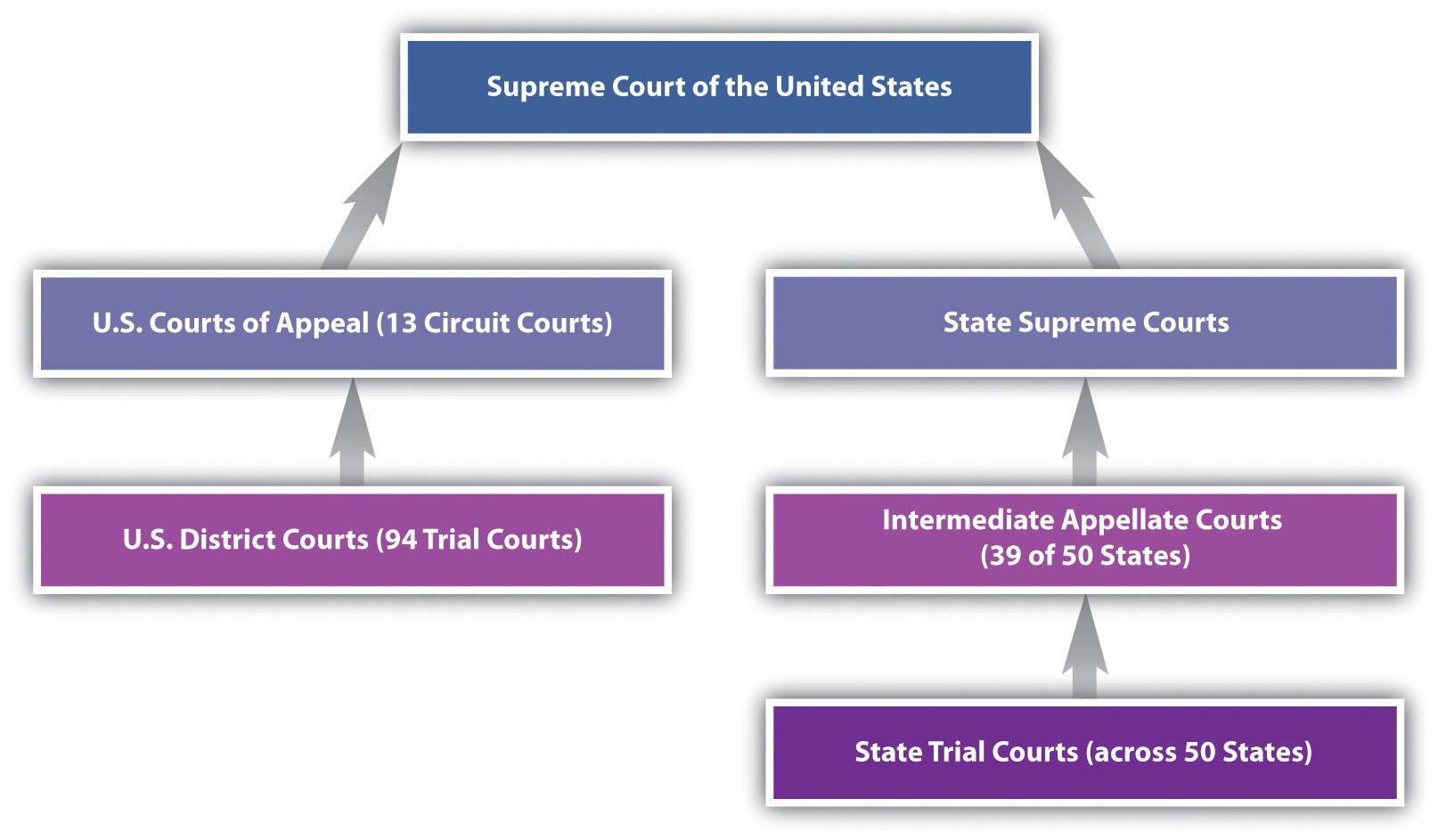 State vs. Federal Courts: What Sets Them Apart?