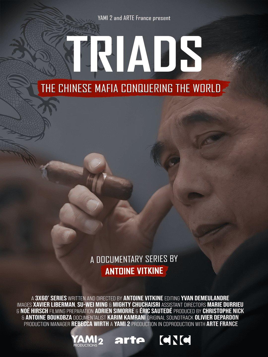 Inside the Rise of Asian Triads: Secrets of the Underworld