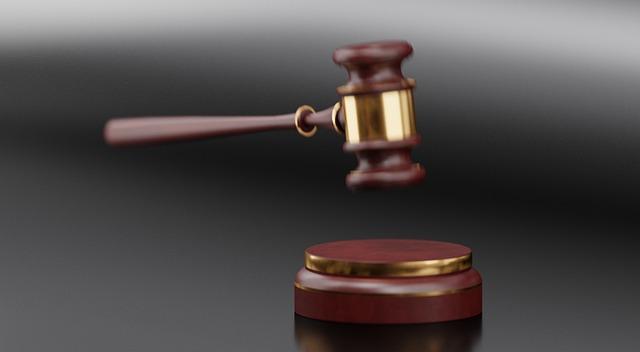 How Do Judges Decide Your Criminal Sentence? Exploring Roles