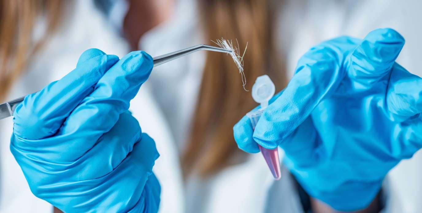 Unveiling Secrets: New Breakthroughs in Trace Evidence Analysis
