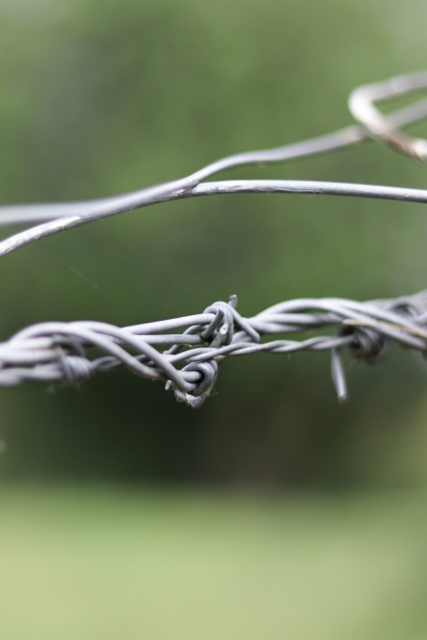Wire Fraud Uncovered: How It Works & Famous Cases Told