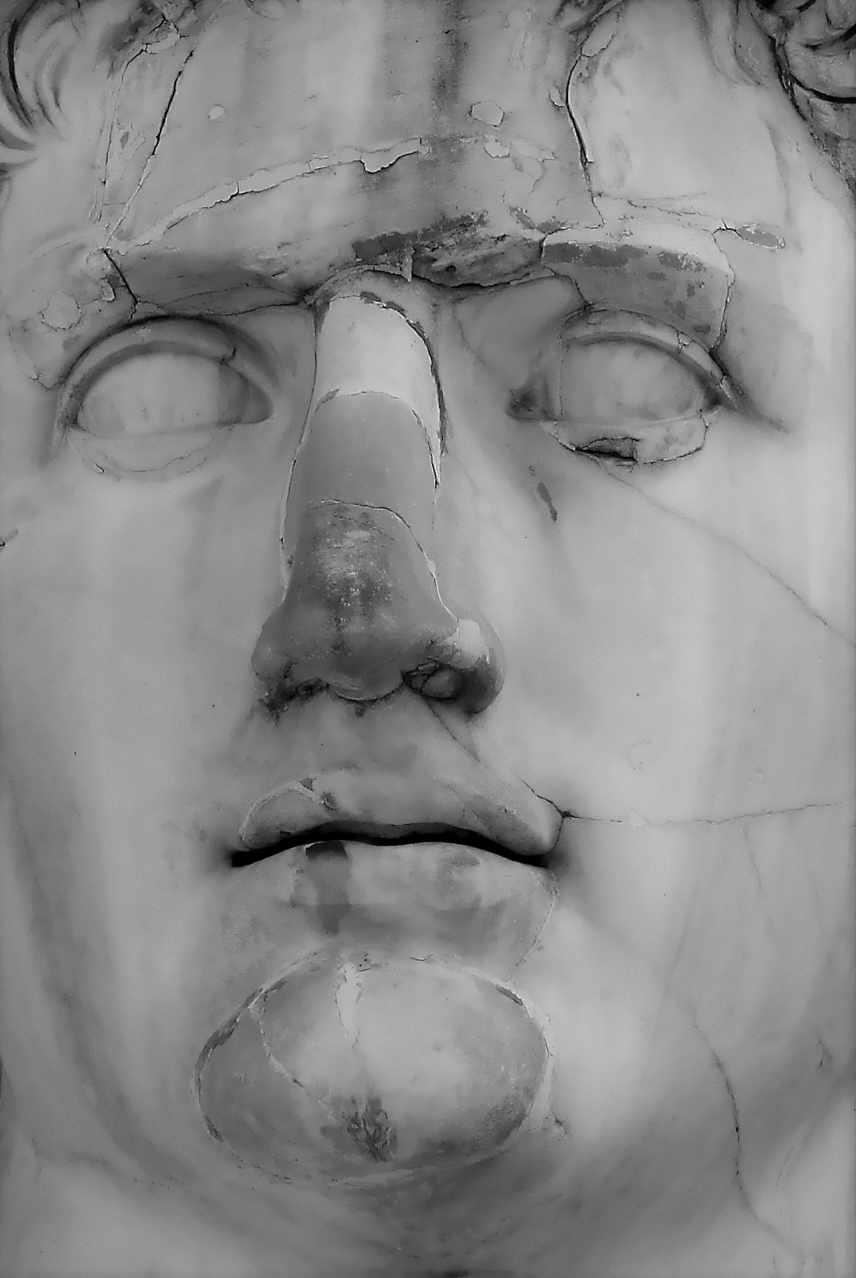 Unveiling Faces: How Facial Reconstruction Transforms Forensics