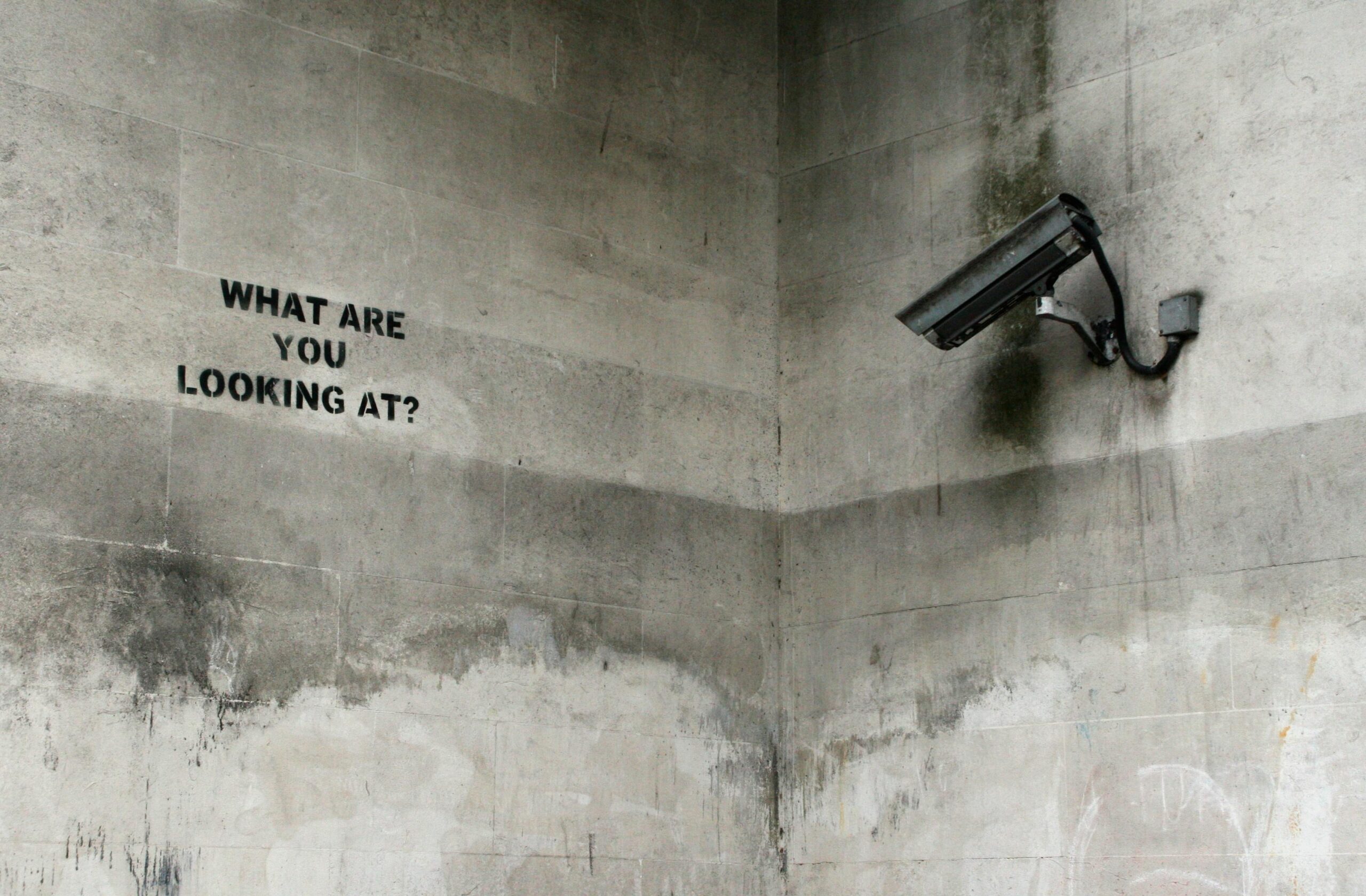 How Criminal Minds Blend In: Secrets of Hiding in Plain Sight