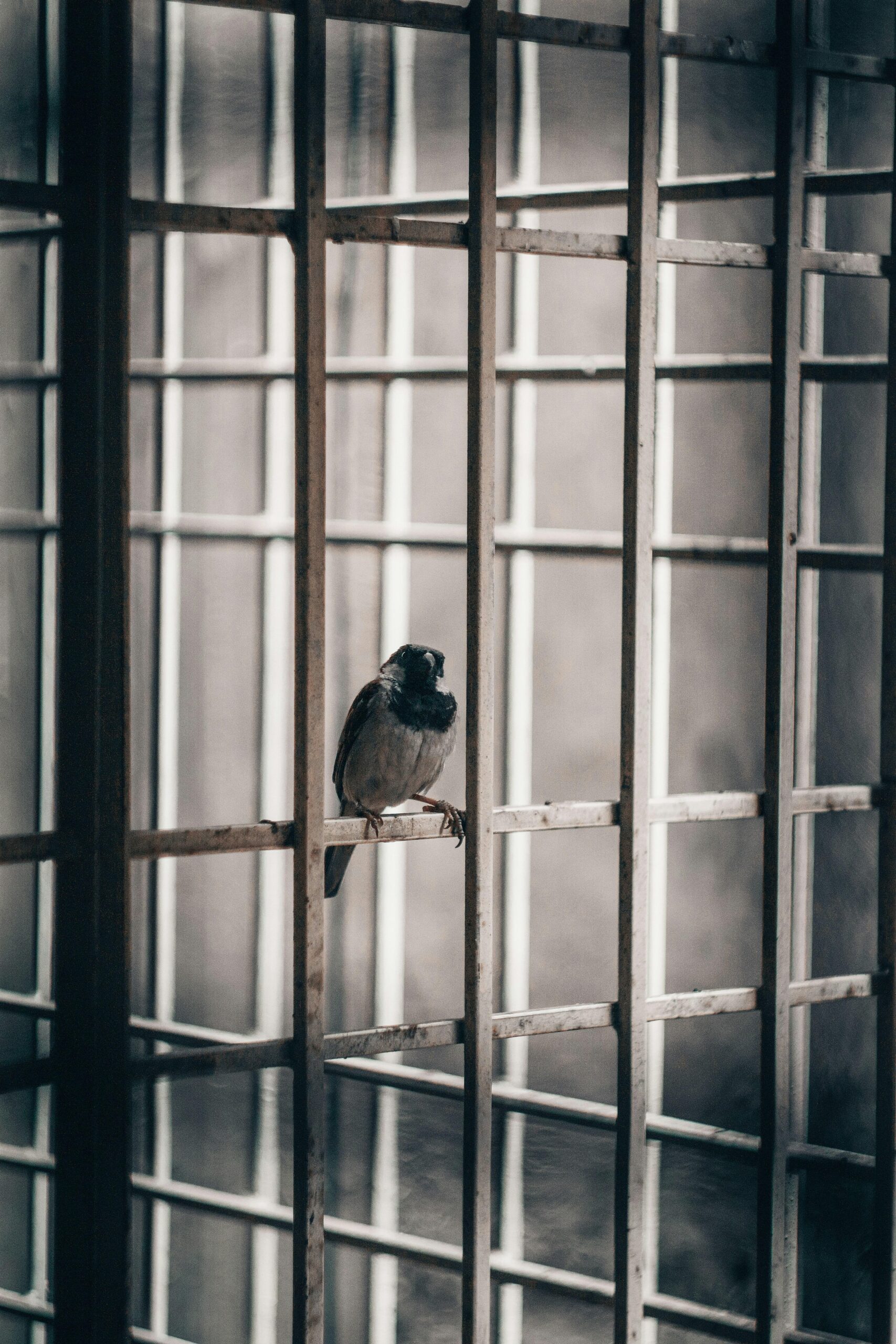 What Really Happens After a Conviction? Unpacking Life’s Next Steps