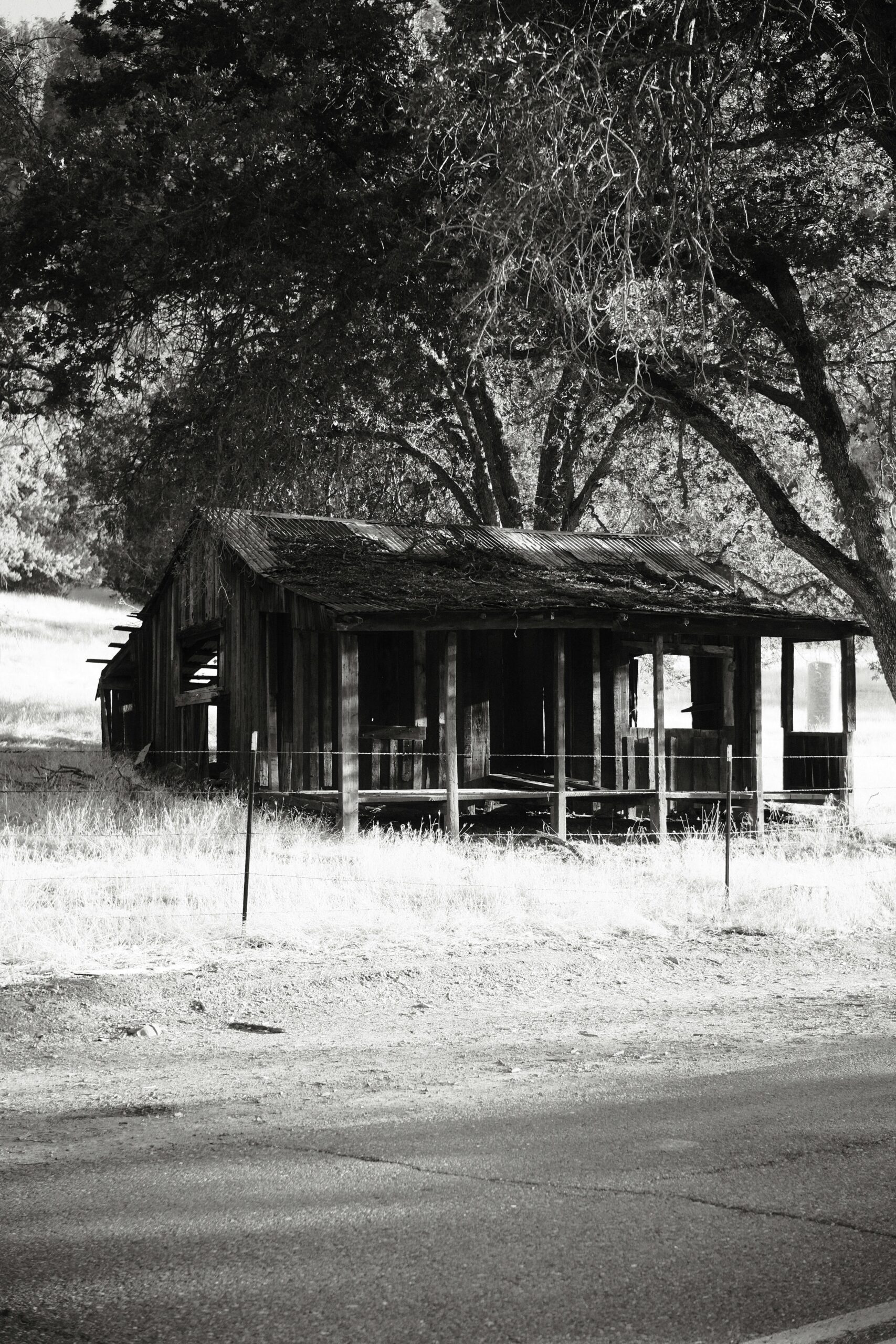 The Yuba County Five Mystery: Strange Disappearance Unraveled