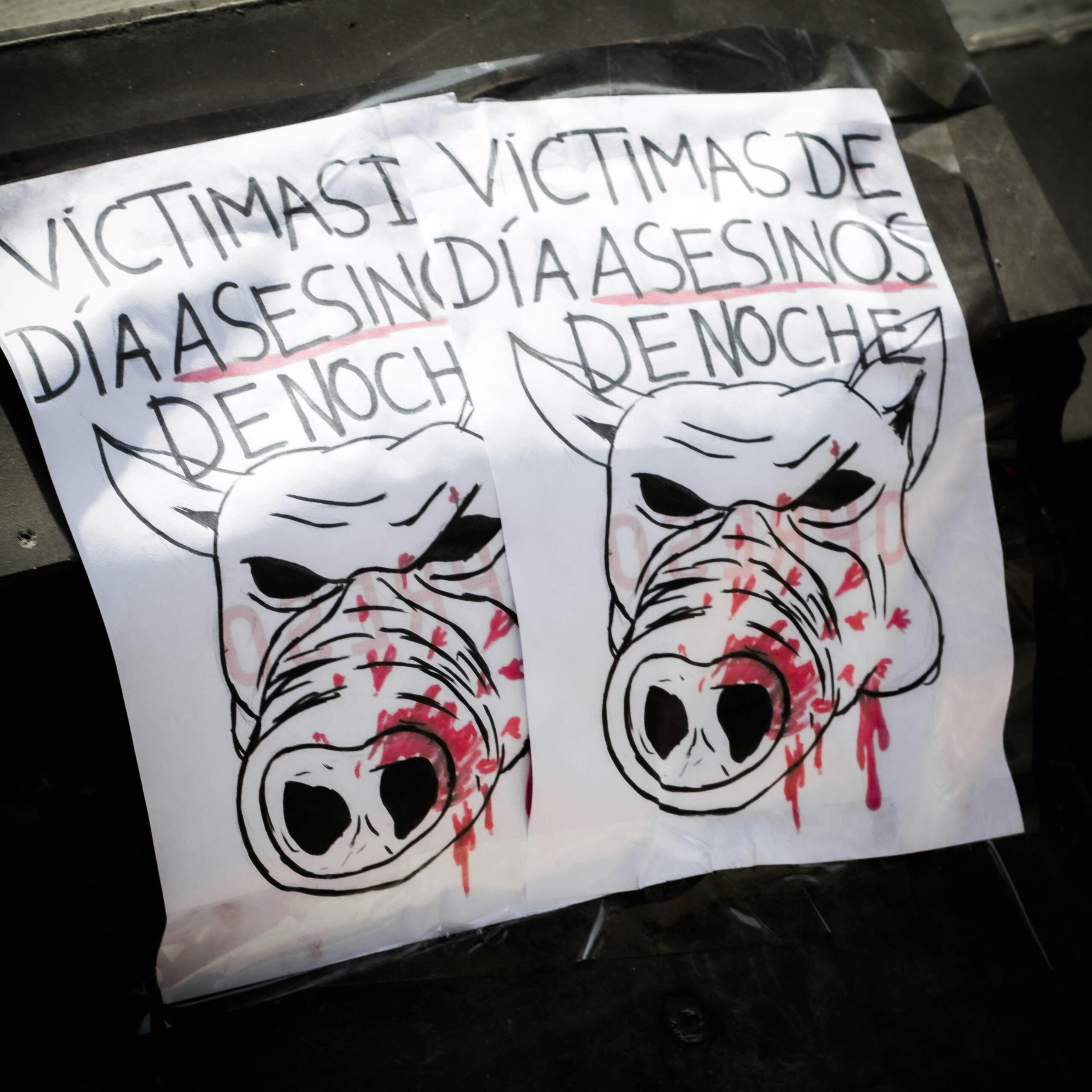 Unlocking Crime: Why Victimology Matters in Criminology