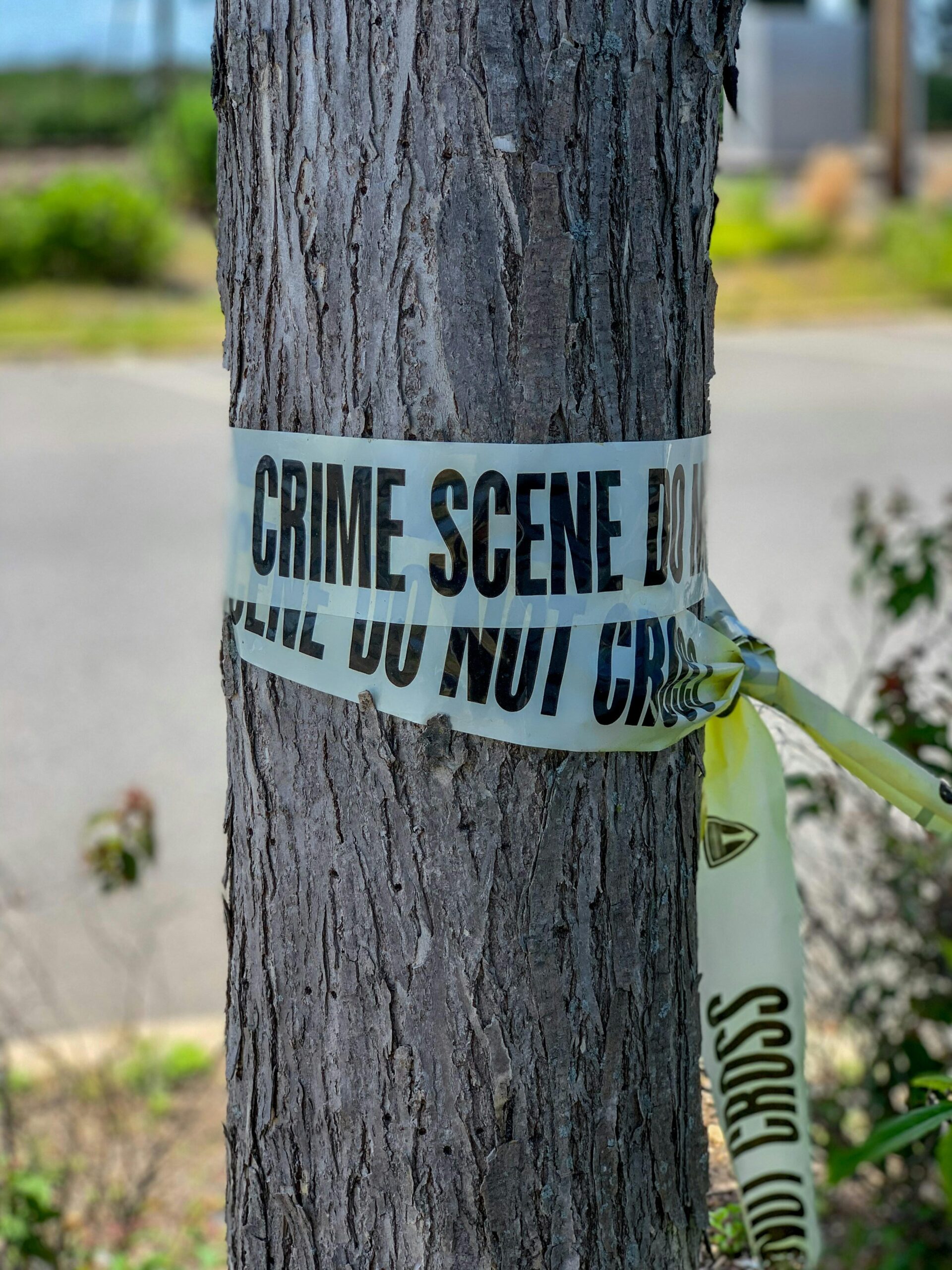 How COVID-19 Sparked a Rise in Domestic Crime Rates