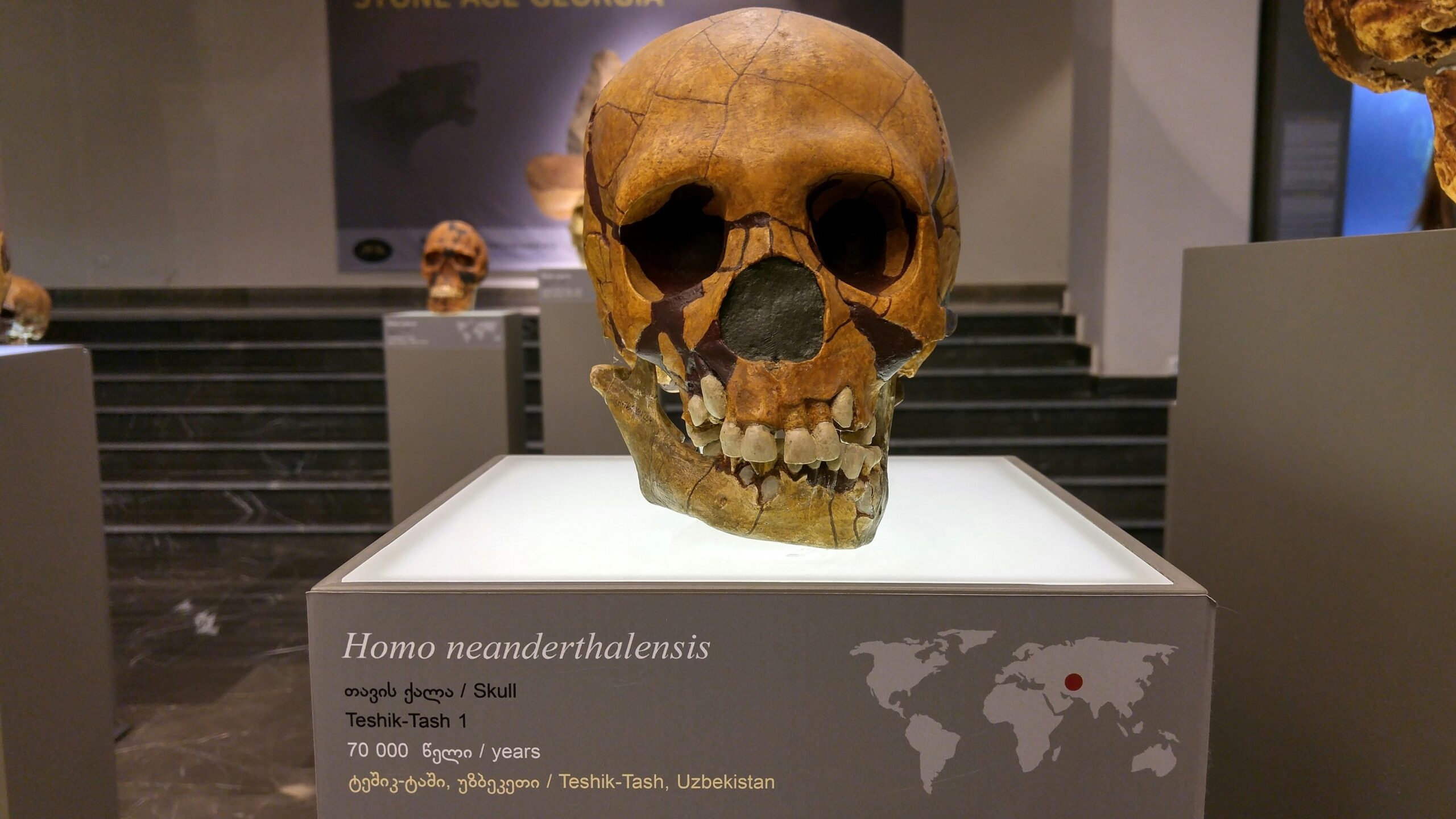 Unlocking Mysteries: How Forensic Anthropology IDs Unknown Victims