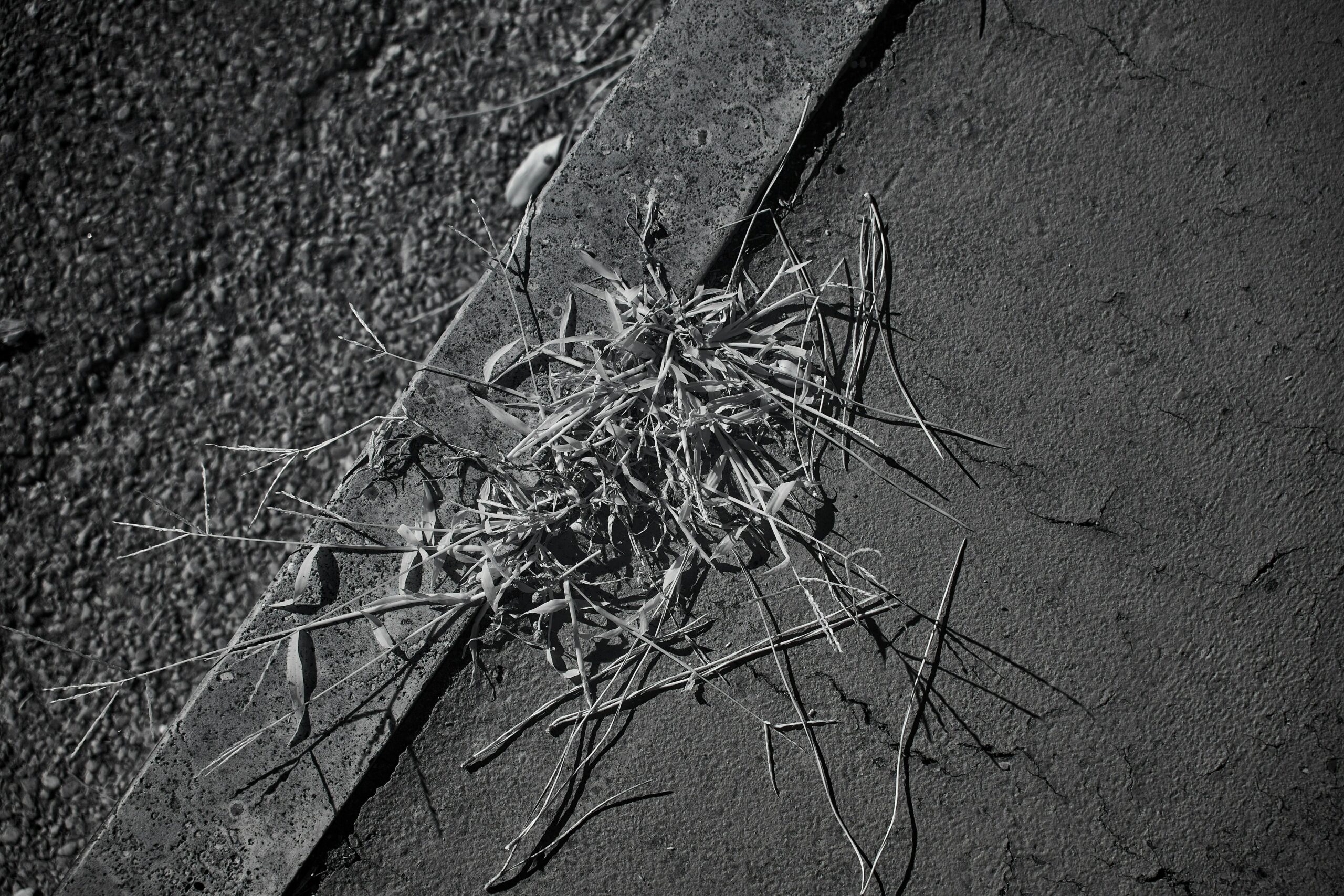 How Fiber Analysis Can Connect Suspects to Crime Scenes