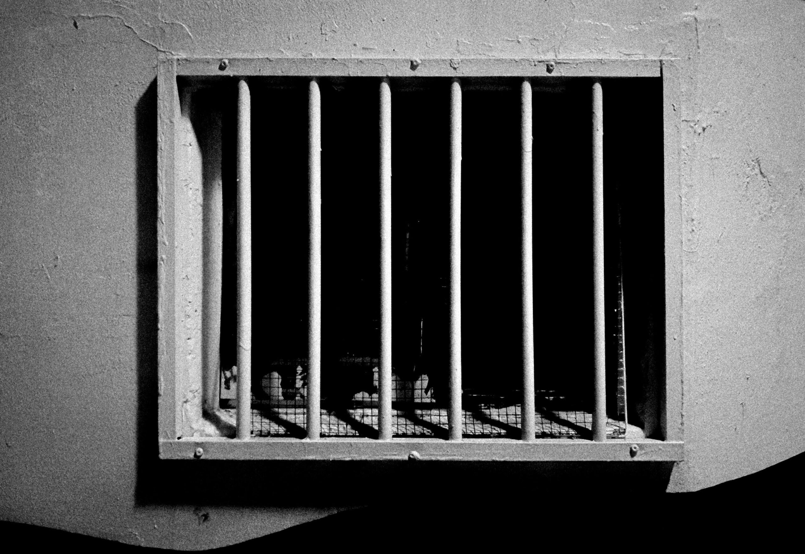Unlocking Minds: Exploring Theories of Criminal Behavior