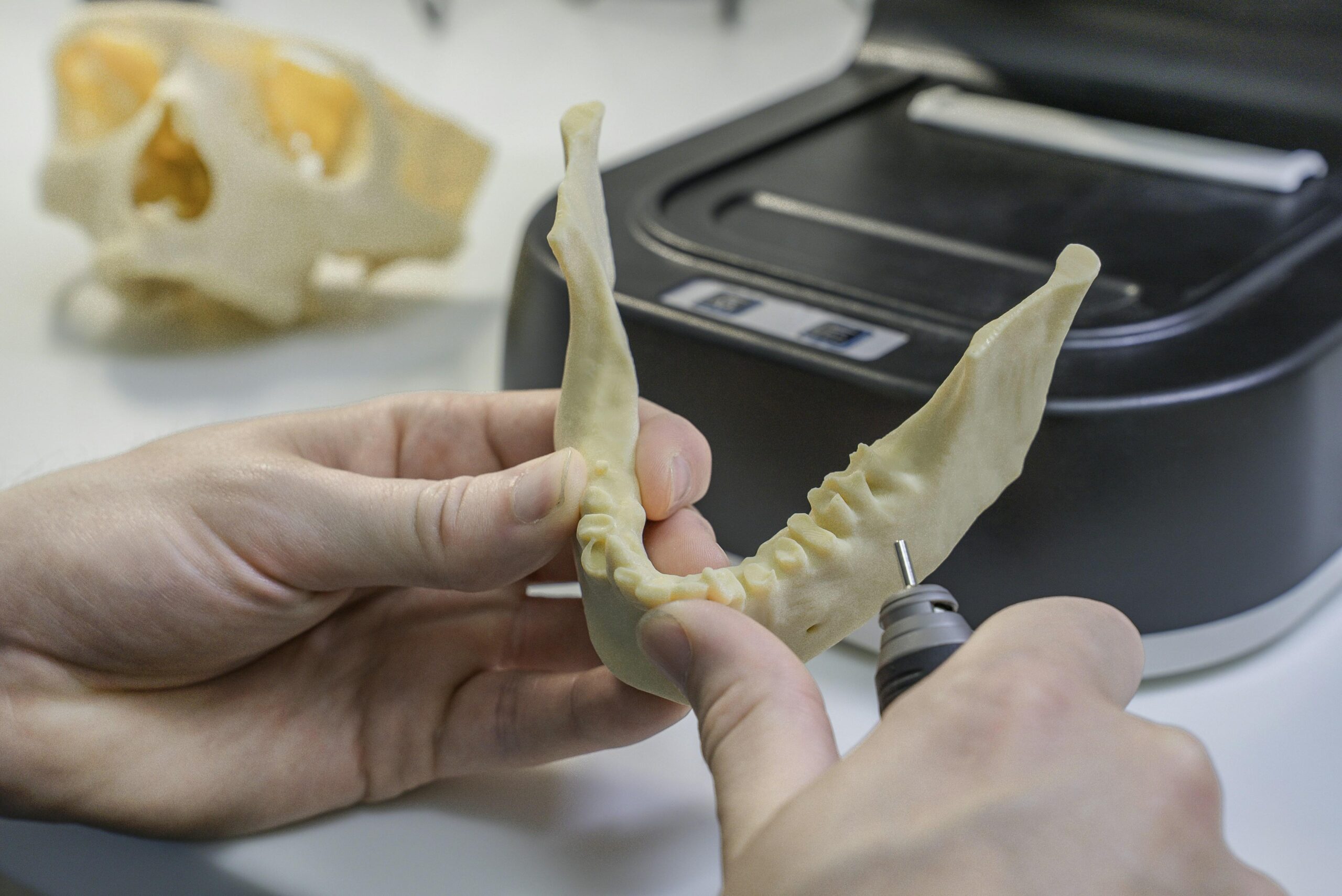 Forensic Odontology: How Teeth Uncover Crime Mysteries