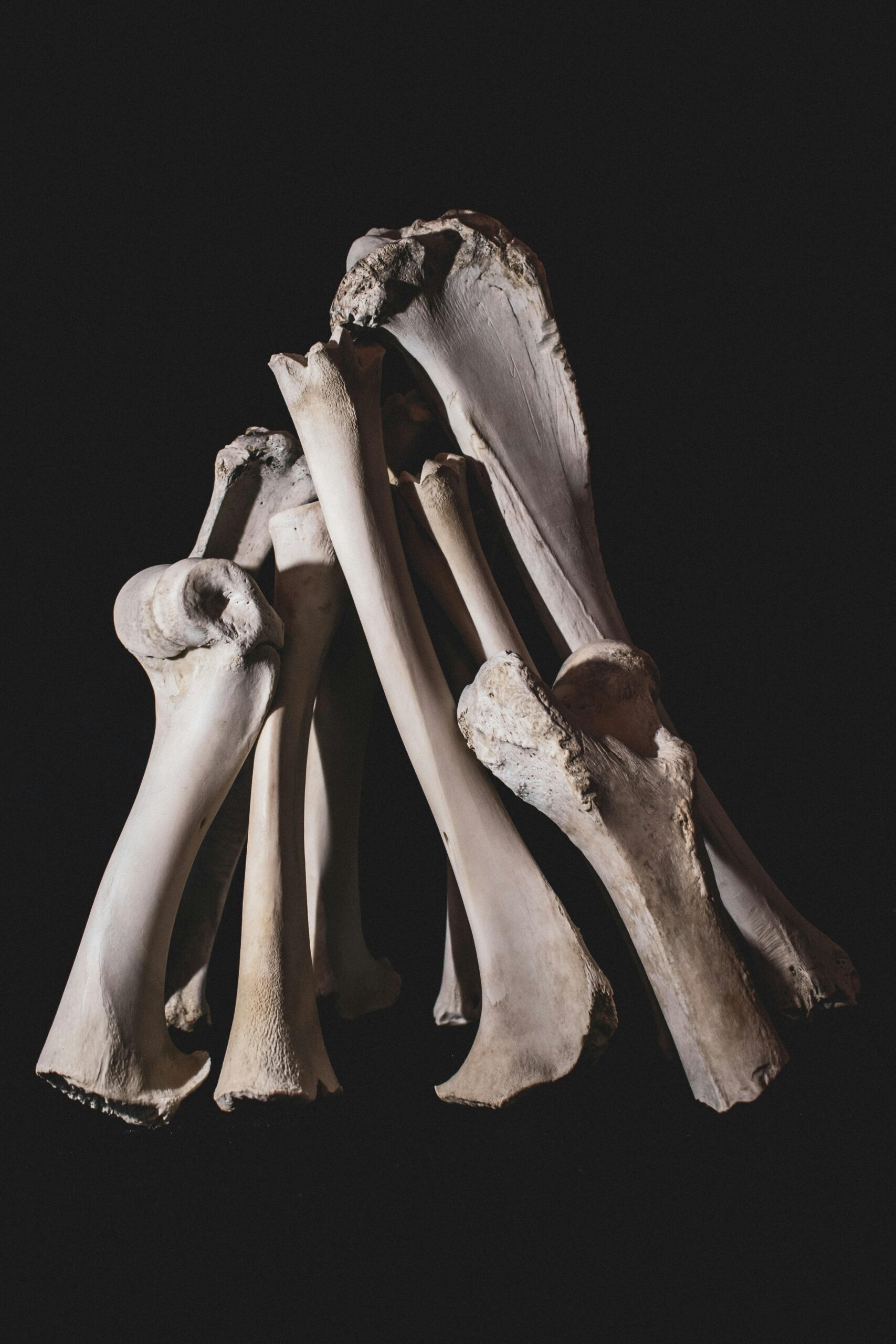 Unraveling the Mystery of the West Mesa Bone Collector