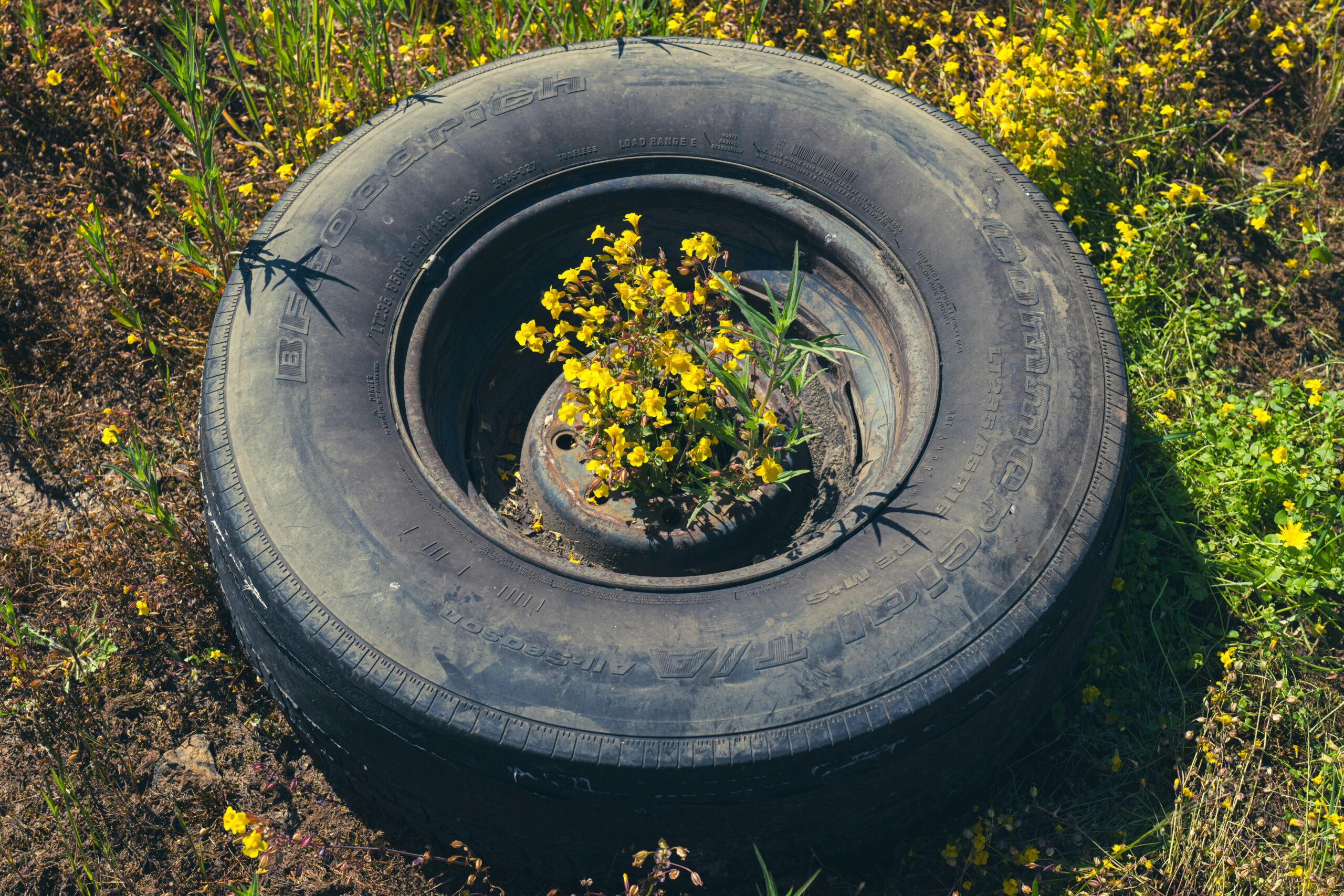 Uncovering Environmental Crimes That Shake the Globe