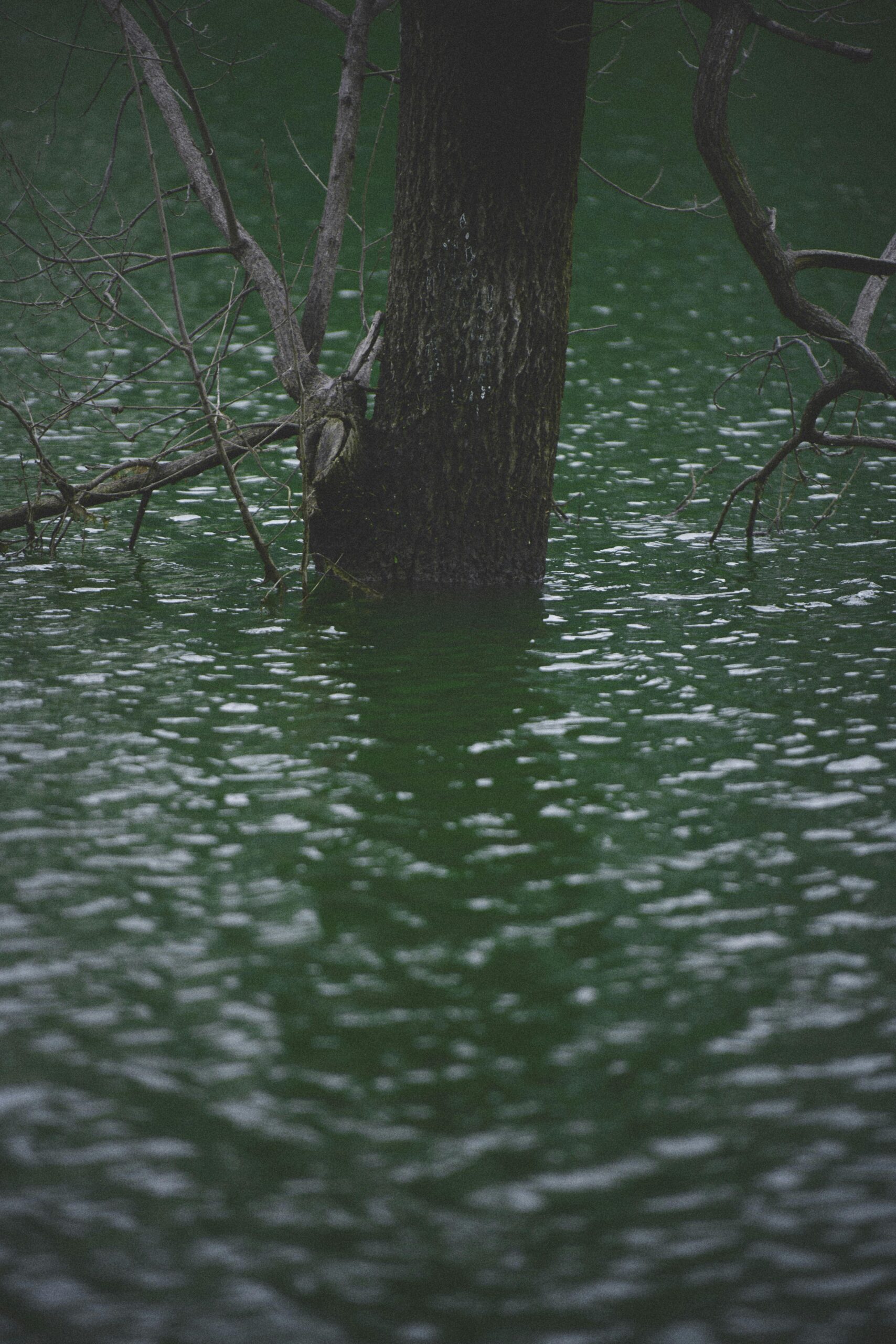 Unraveling the Dark Legacy of Gary Ridgway, the Green River Killer