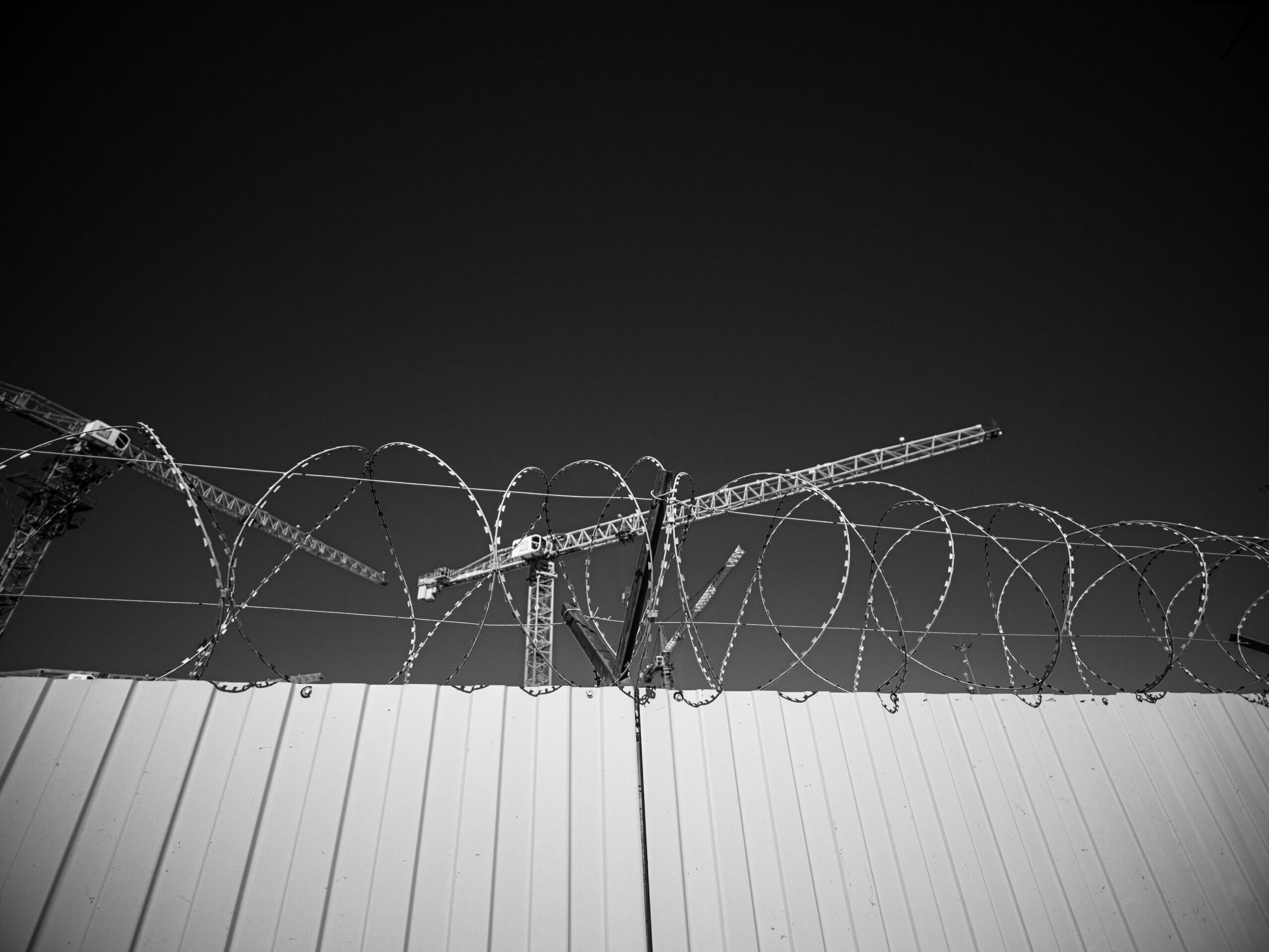 How Does Immigration Shape Crime Trends? Exploring the Facts