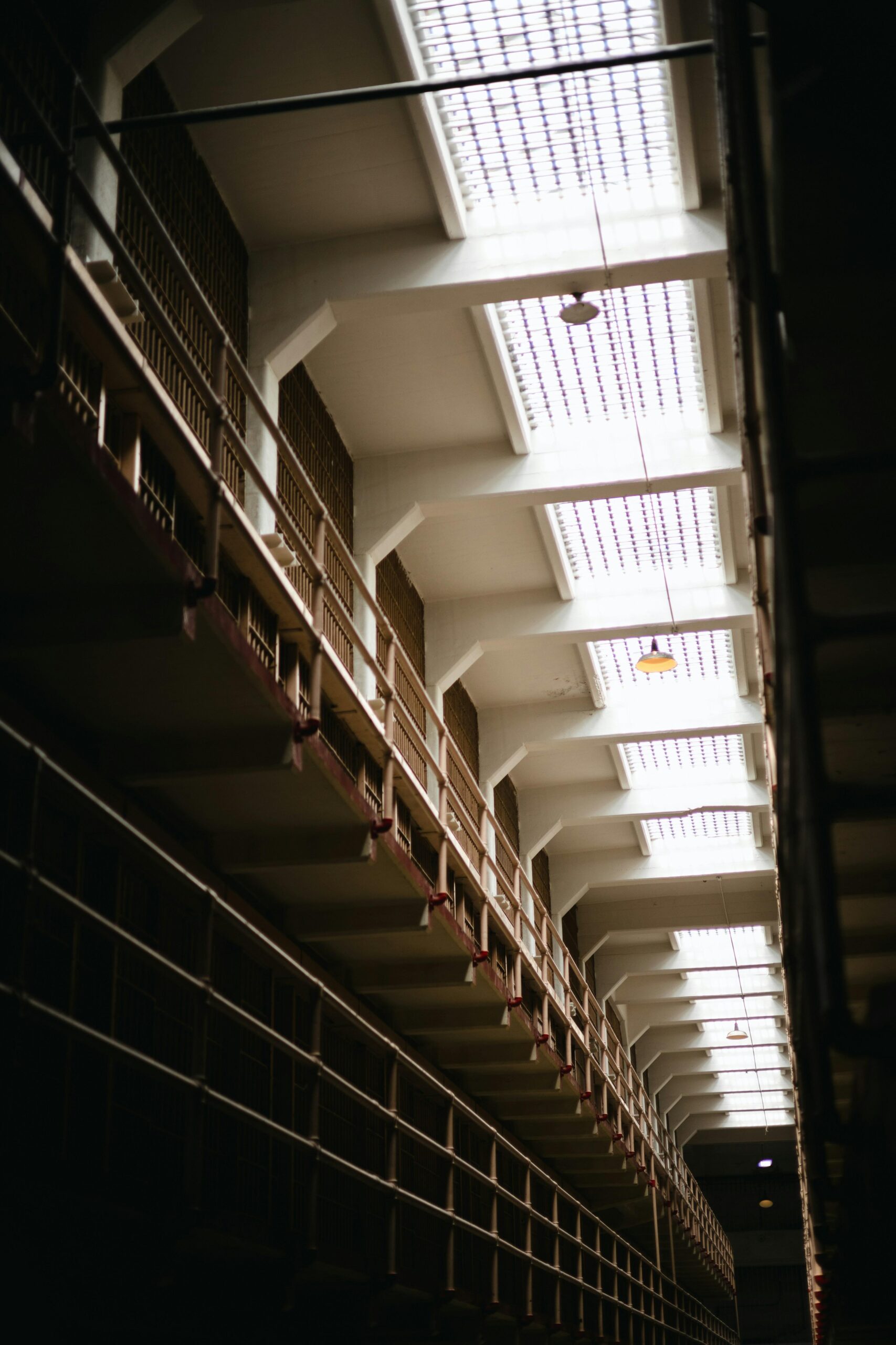 Unlocking Crime: Curious Insights into Criminology Research